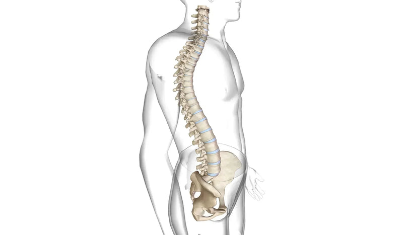Ipercifosi: cos'è e quanto può aiutare la ginnastica posturale?